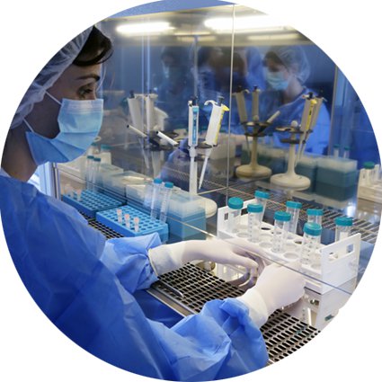 lab
