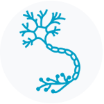 neurological