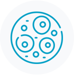 Cord Blood Stem Cells
